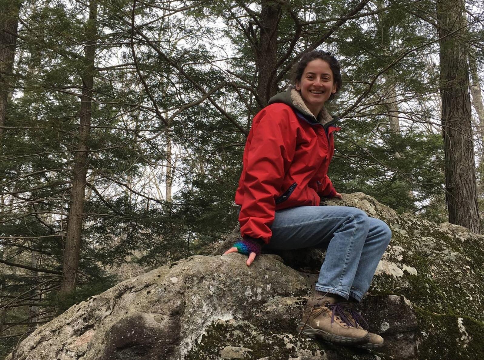 Rosa sitting on a rock in the forest.