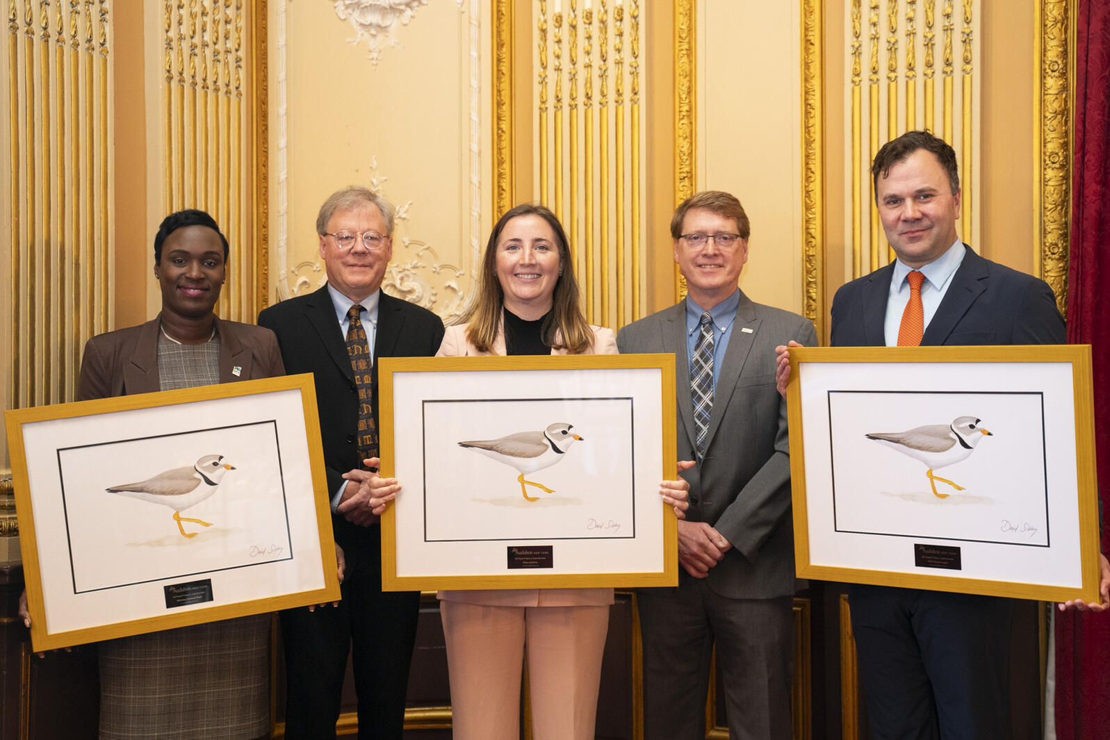 Five people stand against a gold wall and red curtains, the four honorees plus the executive director of Audubon CT and NY. Three honorees hold framed awards with a Sibley-drawn plover inside. David Sibley stands second from left.