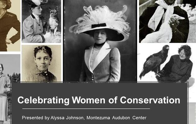Celebrating Women in Conservation