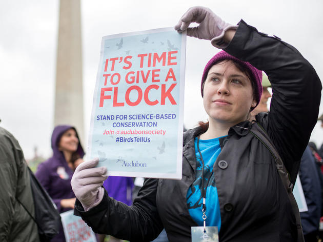 From Coast to Coast, Audubon Stood Up for Birds at the March for Science 
