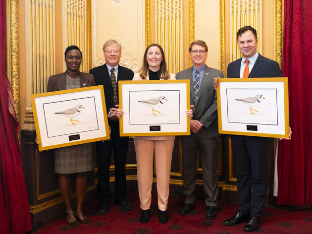 Audubon Honors Bahamas National Trust, Mass Audubon, and NYC Plover Project for Protecting Threatened Piping Plovers Across Essential Habitats
