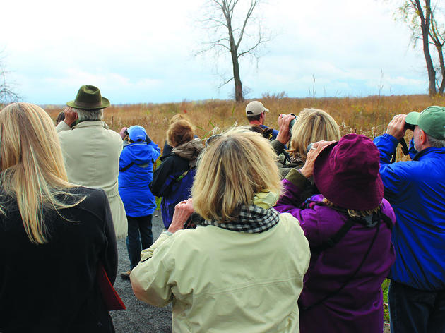 Seneca Meadows Wetlands Preserve survey updates bird count