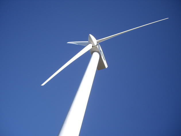 NYSERDA's Proposed Wind Energy Area Draws Comments from Audubon New York
