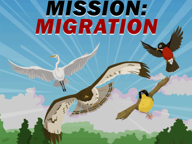 Mission Migration