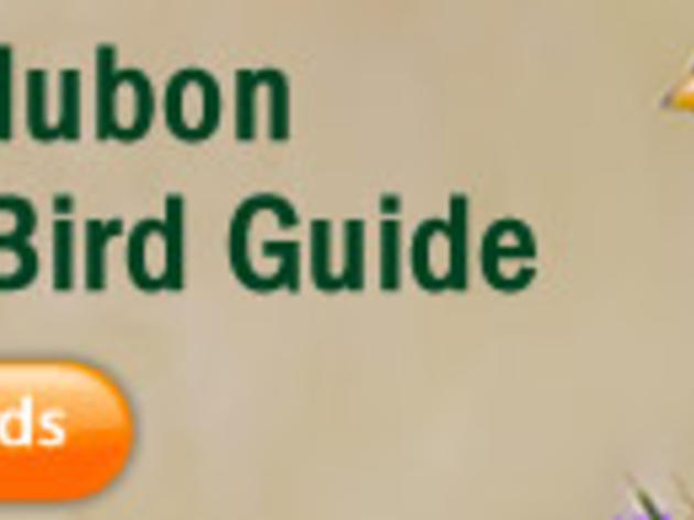 The Audubon Online Bird Guide