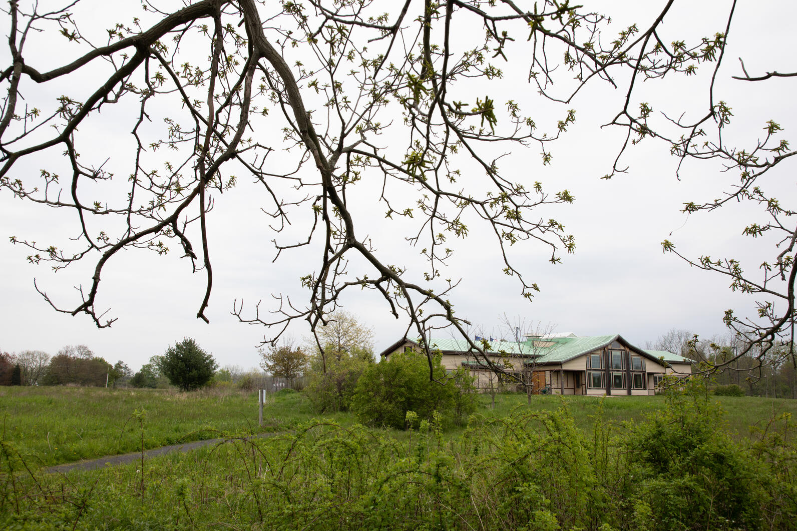 The Montezuma Audubon Center building. A tree with flower buds covers a portion of the foreground.