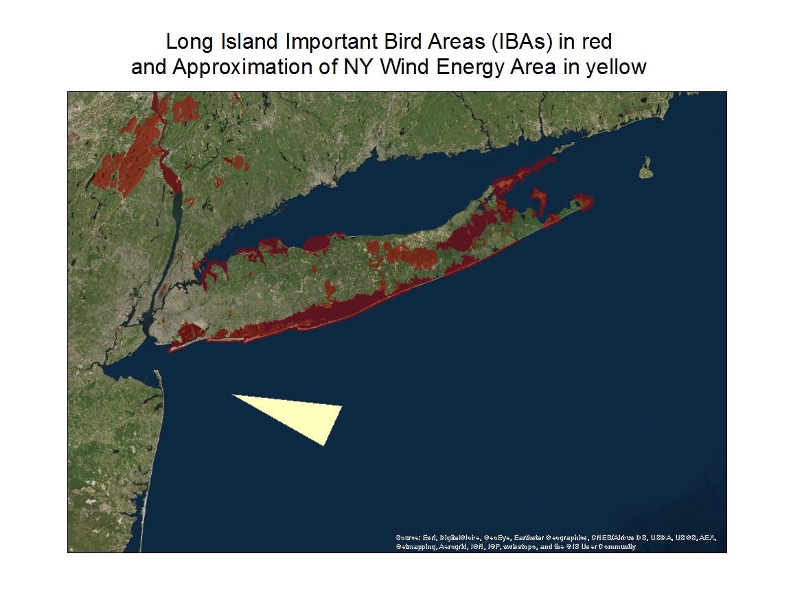udubon_long_island_ibas_and_proposed_wind_energy_area_12.15.16.jpg