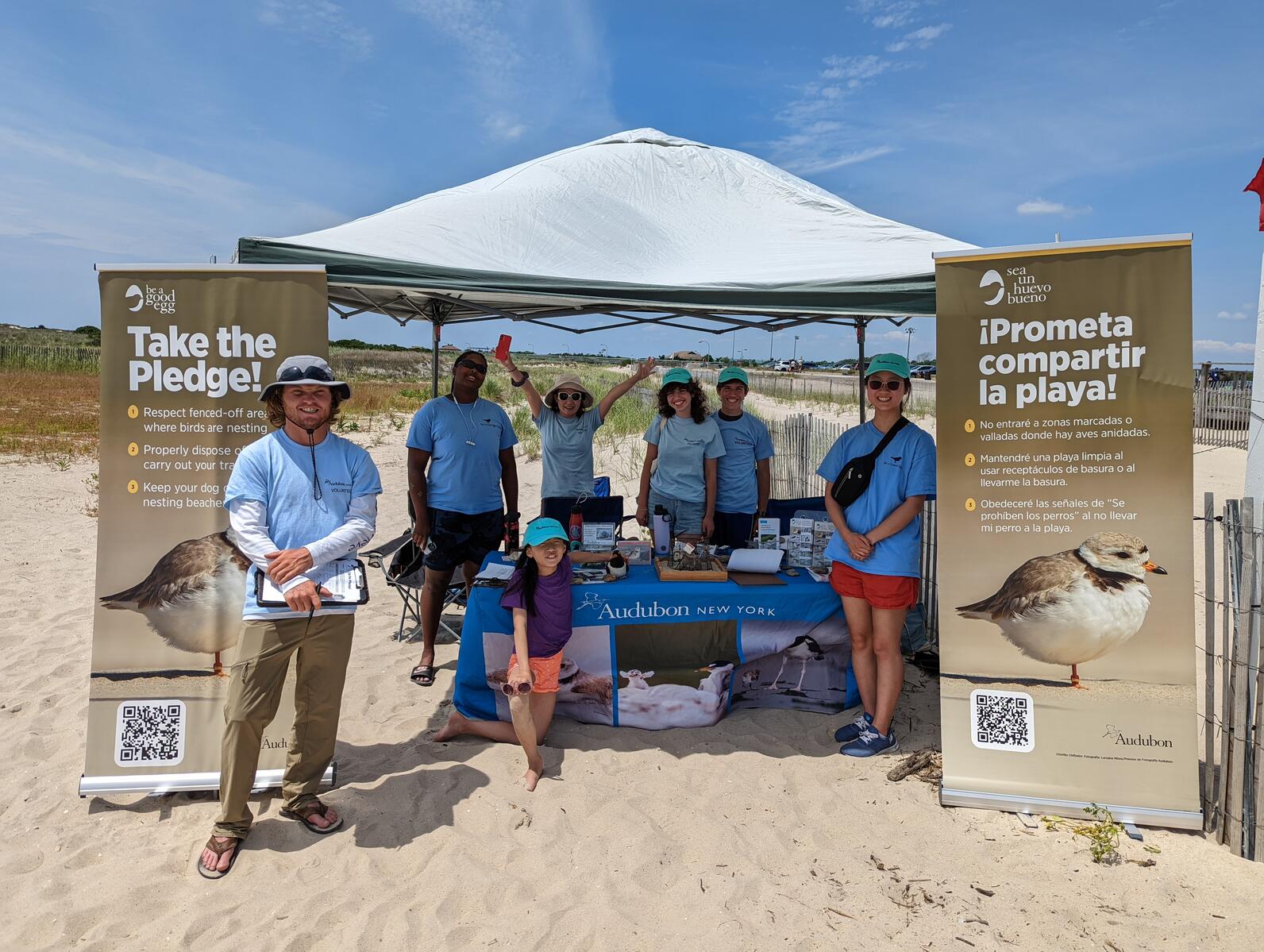 Volunteers and staff dressed in pale blue "Be a Good Egg" shirts and hats stand around a table under a tent on the sand. On top of the table are brochures, dioramas, and other informative objects about shorebirds.