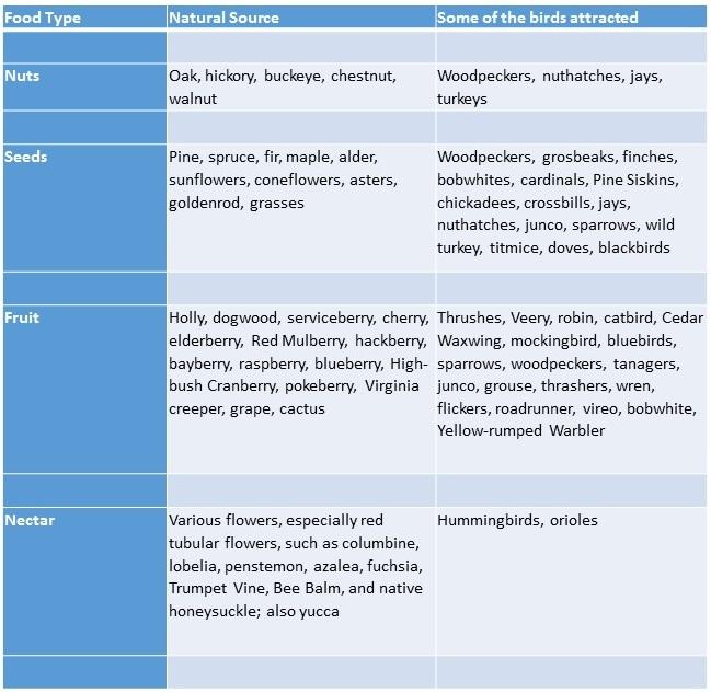 Bird Habitat Graph