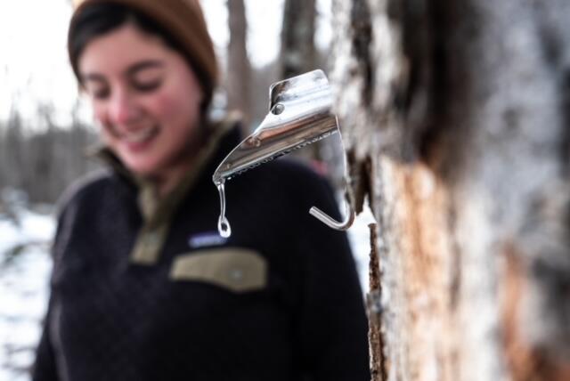 Close up of tap dripping sap out, woman with dark hair and red winter hat stands behind out of focus