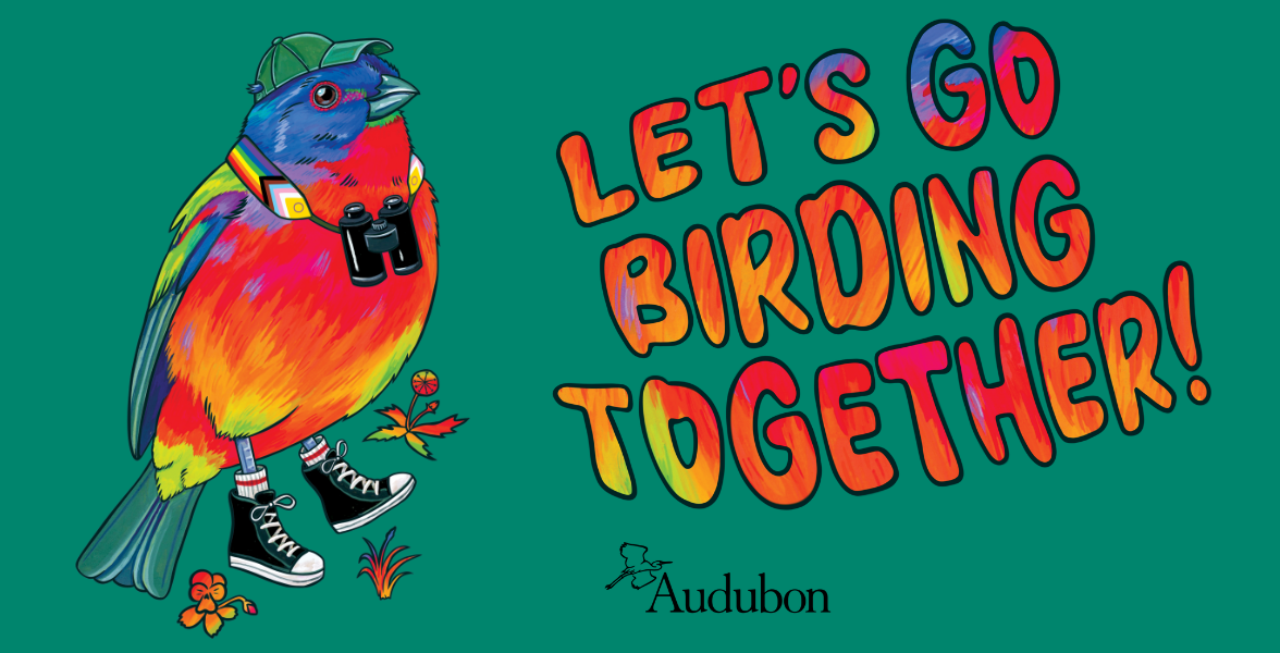 An illustration of a rainbow-colored Painted Bunting wearing a hat, binoculars, and sneakers. Big, rainbow text next to the bird reads: Let's Go Birding Together.