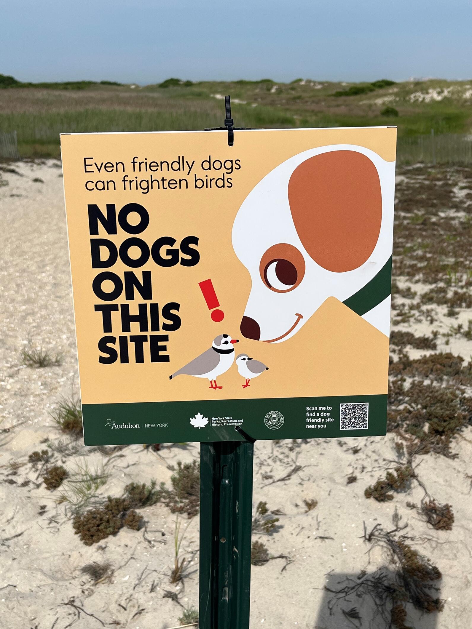 A sign on a beach. It features an illustration of a dog's head looking at a scared Piping Plover and chick. Text reads: Even friendly dogs can frighten birds. No dogs on this site!