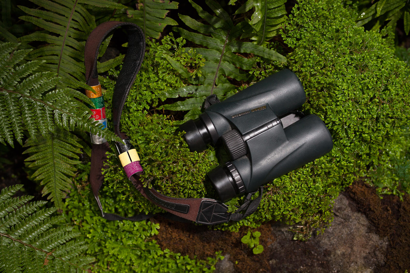 A pair of binoculars sitting in a bed of ferns and moss