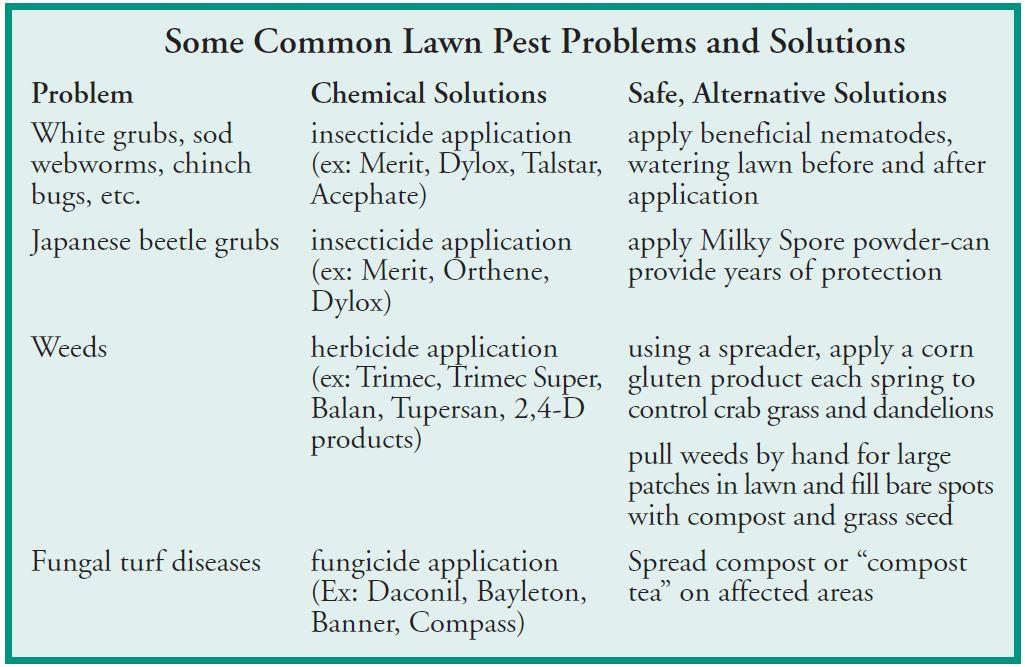 Bed Bug Heat Treatment