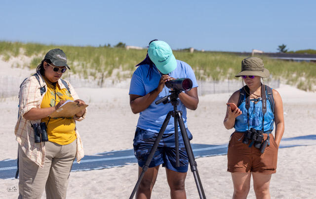 Three people stand on the beach. The leftmost one is writing on a clipboard, the middle is looking through a spotting scope, and the last is checking the time on her phone.