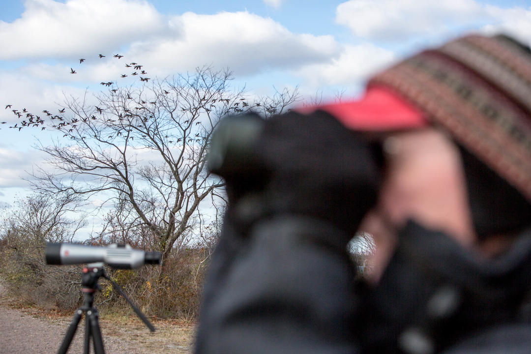 Bird Watching Log Book – West Sound Wildlife Shelter