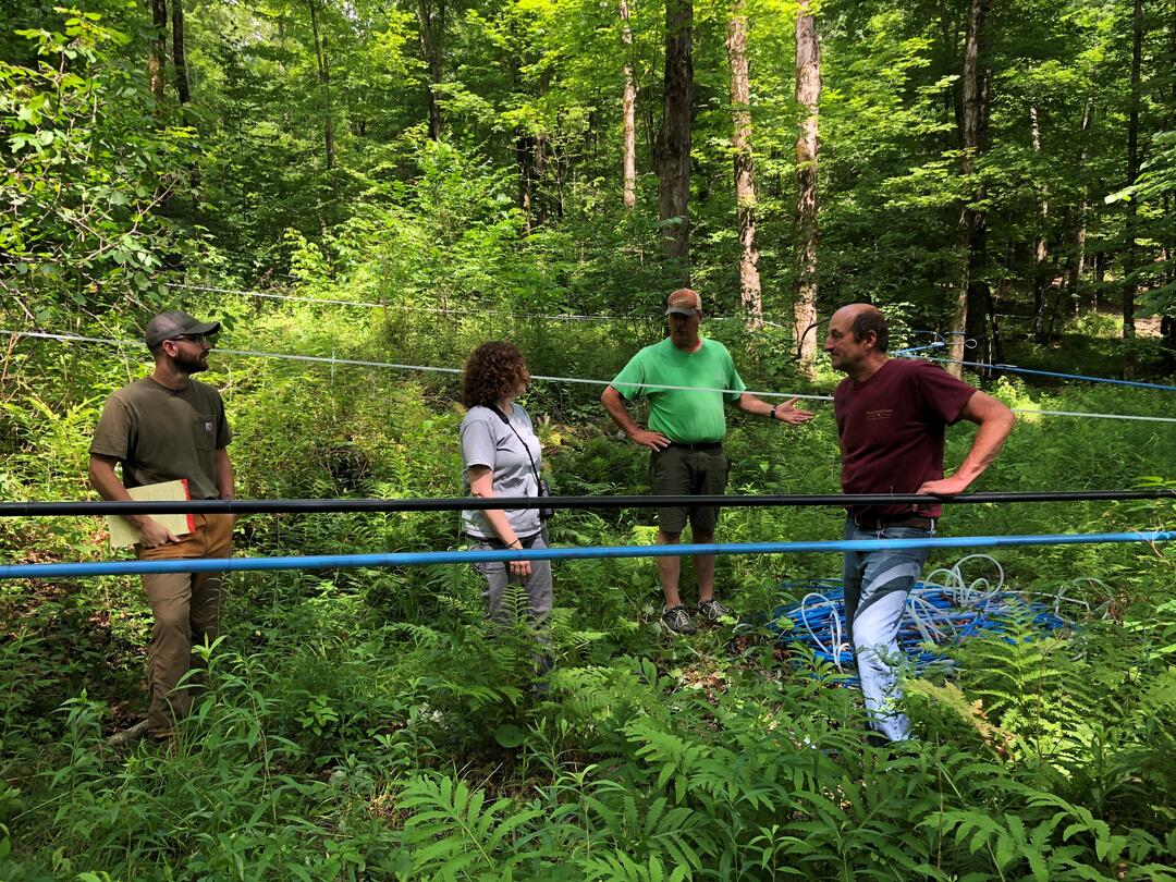 Group of people in forest of a farm looking at management options.