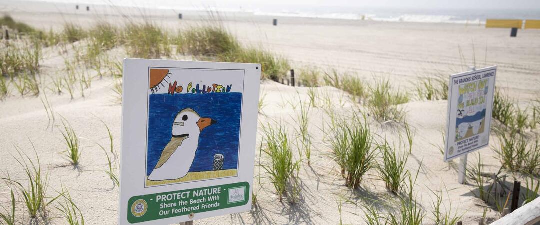 How Town of Hempstead Made an Award-Winning Beach for Birds